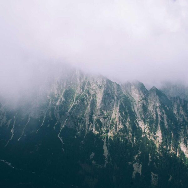 Immobilienpreise steigen weiter – Chancen für Käufer und Verkäufer